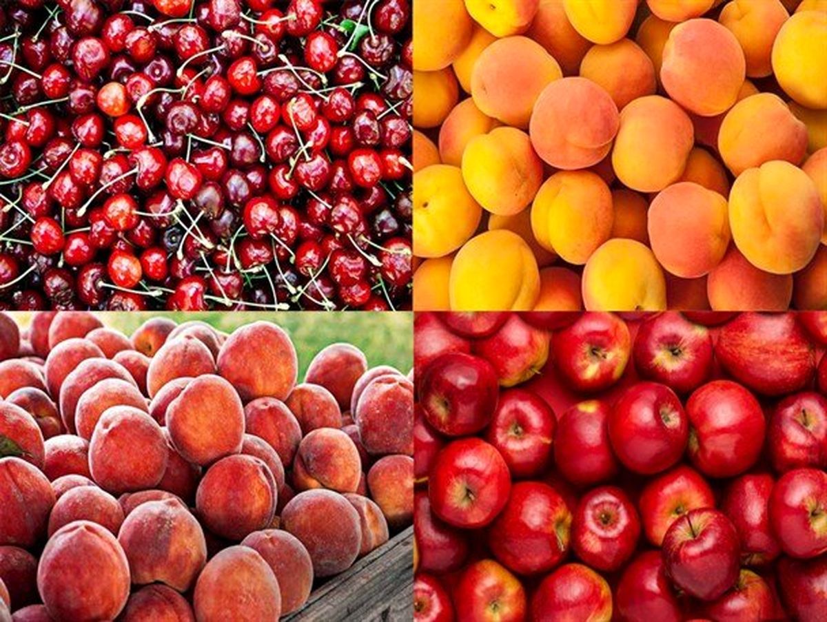 آخرین قیمت میوه‌های تابستانه