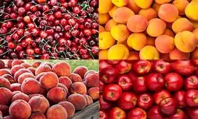 آخرین قیمت میوه‌های تابستانه