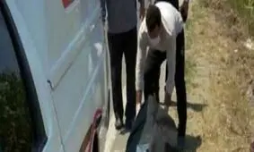 کشف یک جسد مجهول‌الهویه در بابلسر