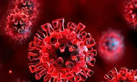 ۲۰۰۰ نیشابوری در قرنطینه خانگی/ ۱۰ درصد کادر درمان نیشابور به کرونا مبتلا شدند