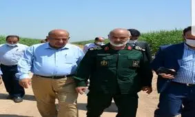 تولید و اشتغال پایدار از دستاوردهای مهم شرکت توسعه نیشکر است