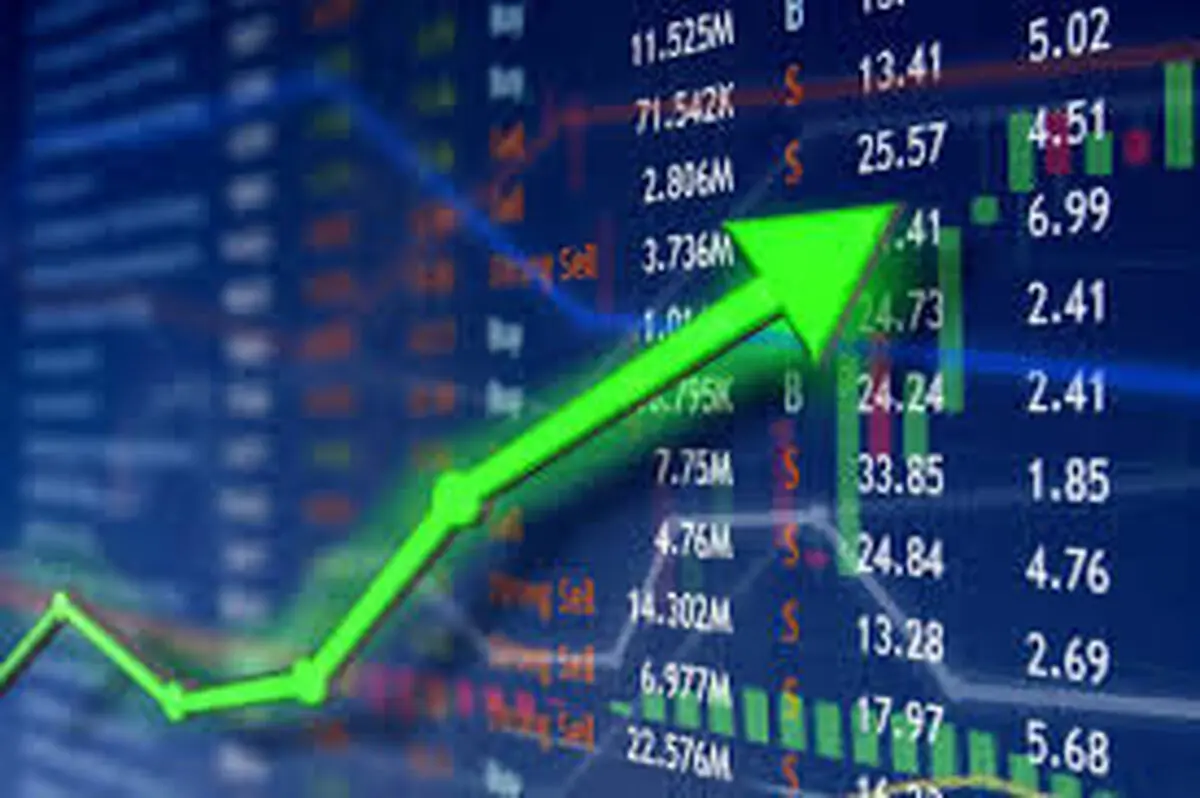 با بورسی شدن یک شبه راه صد ساله می روید؟