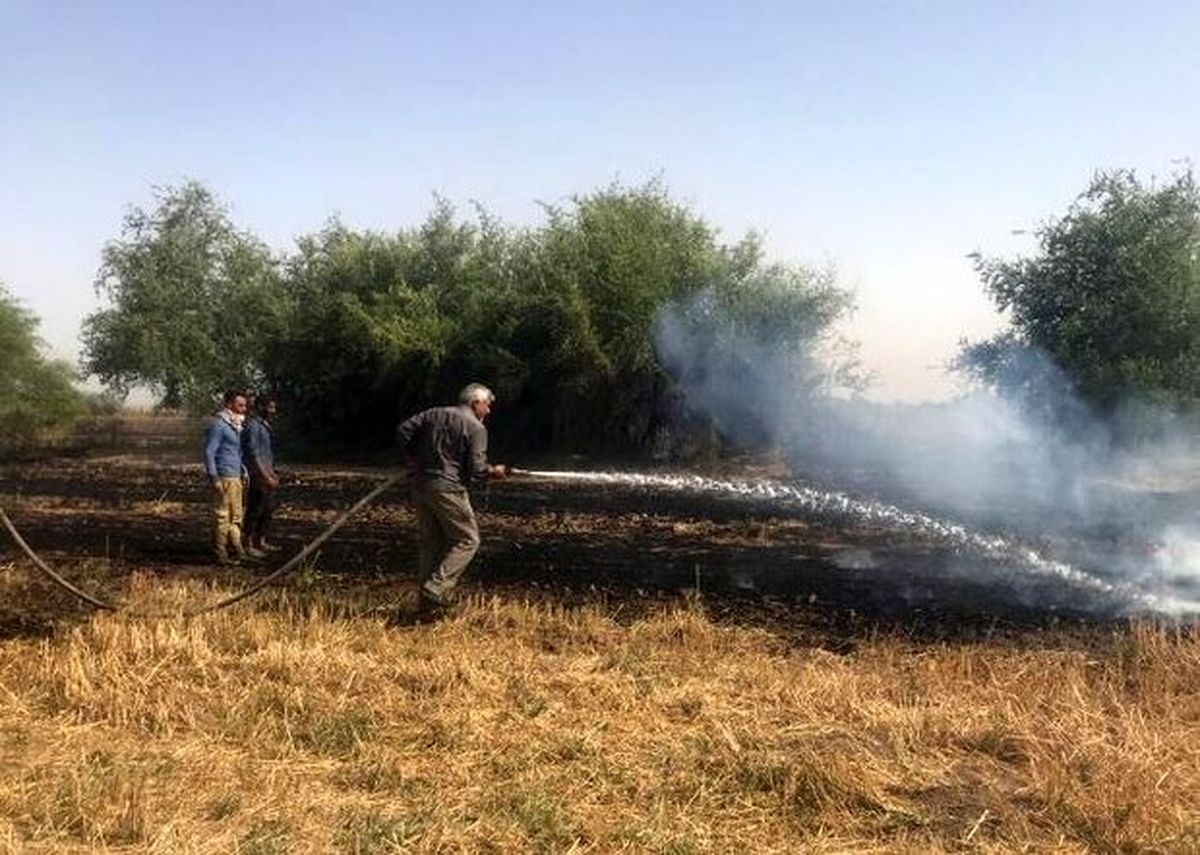 وقوع حریق در جنگل های منطقه «بلوط بلند» چهارمحال و بختیاری