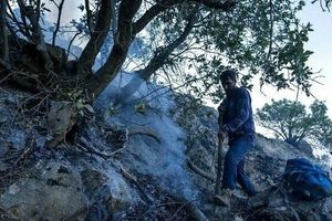 ۳ نفر از عاملان بروز آتش‌سوزی در منطقه جنگلی نمین دستگیر شدند