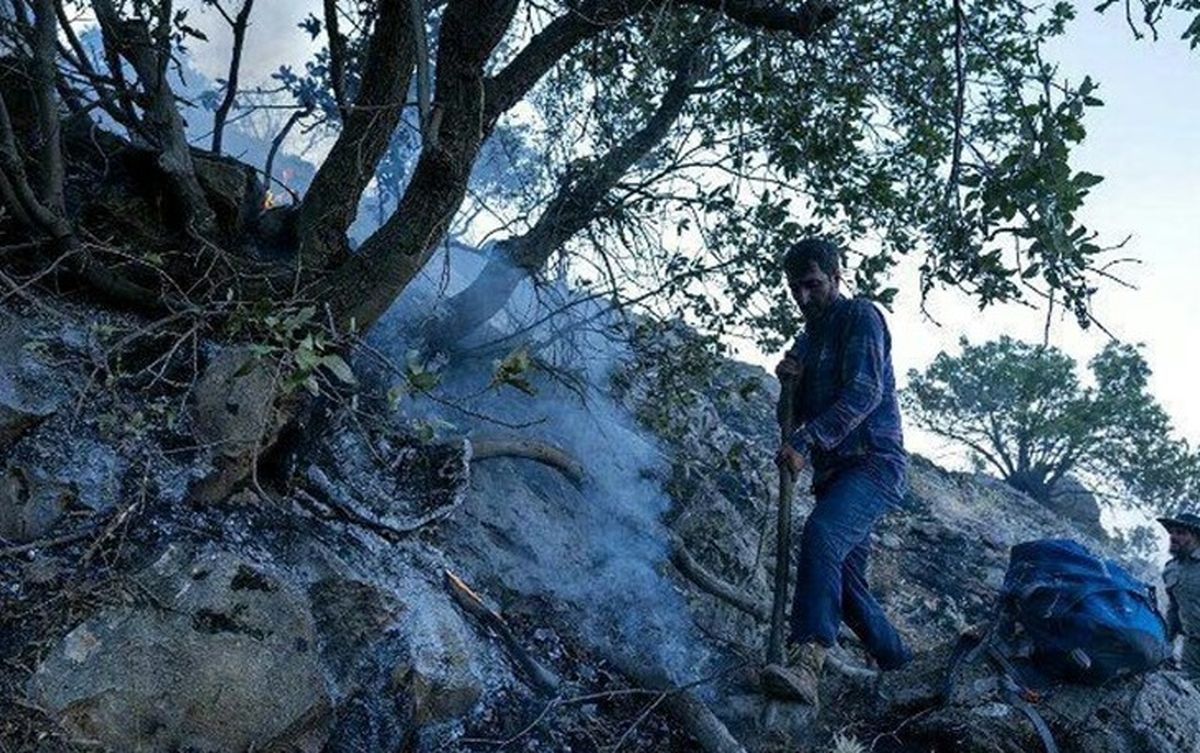 ۳ نفر از عاملان بروز آتش‌سوزی در منطقه جنگلی نمین دستگیر شدند