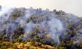 مرگ تلخ یک جوان دیگر در آتش‌سوزی زاگرس