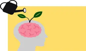 10 نکته طلایی در بهره‌وری حافظه