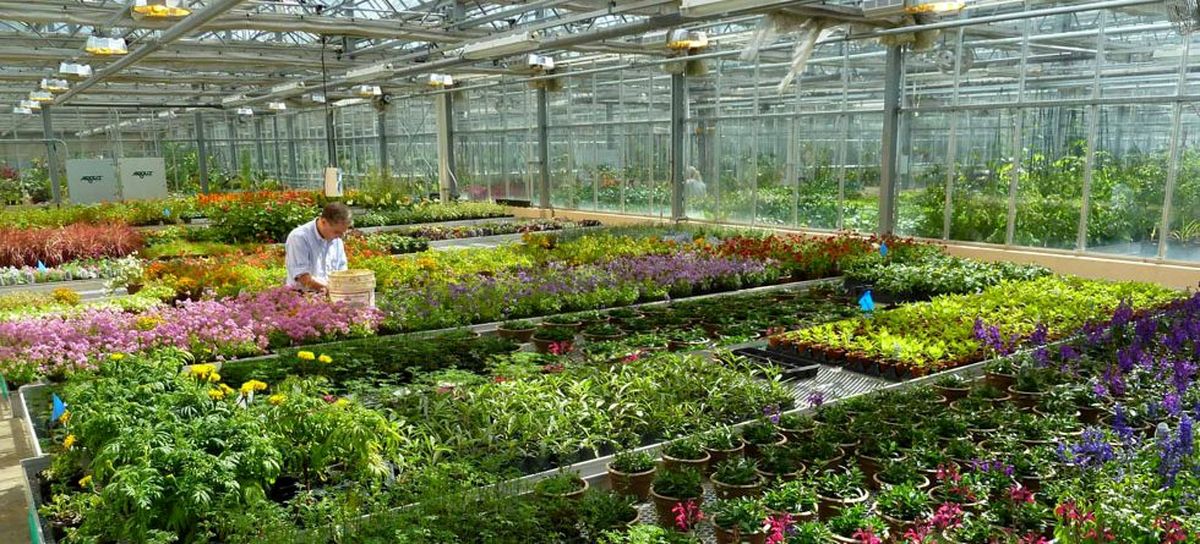 تجهیزات گرمایشی مورد استفاده در گلخانهها