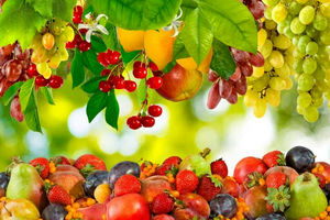 کاهش ۳۰ درصدی قیمت میوه های نوبرانه در یاسوج
