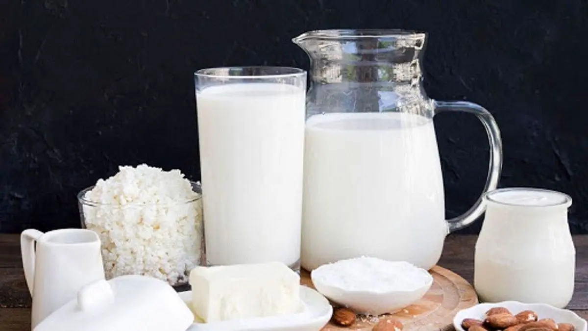 قیمت لبنیات رسما ۲۸ درصد افزایش یافت