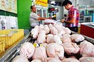 قیمت مرغ در بازار همدان کیلویی ۱۵ هزار تومان تعیین شد