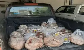 محموله ۴۱ کیلوگرمی گوشت غیرمجاز در قروه کشف و ضبط شد