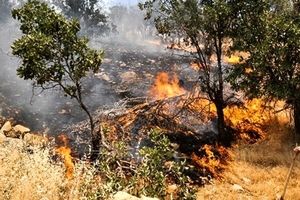 ۱.۵ هکتار از اراضی مستثنیات «امین آباد» فیروزکوه در آتش سوخت