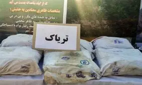 ۲۲ تن مواد مخدر در خراسان جنوبی کشف شد