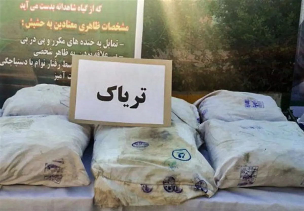 ۲۲ تن مواد مخدر در خراسان جنوبی کشف شد