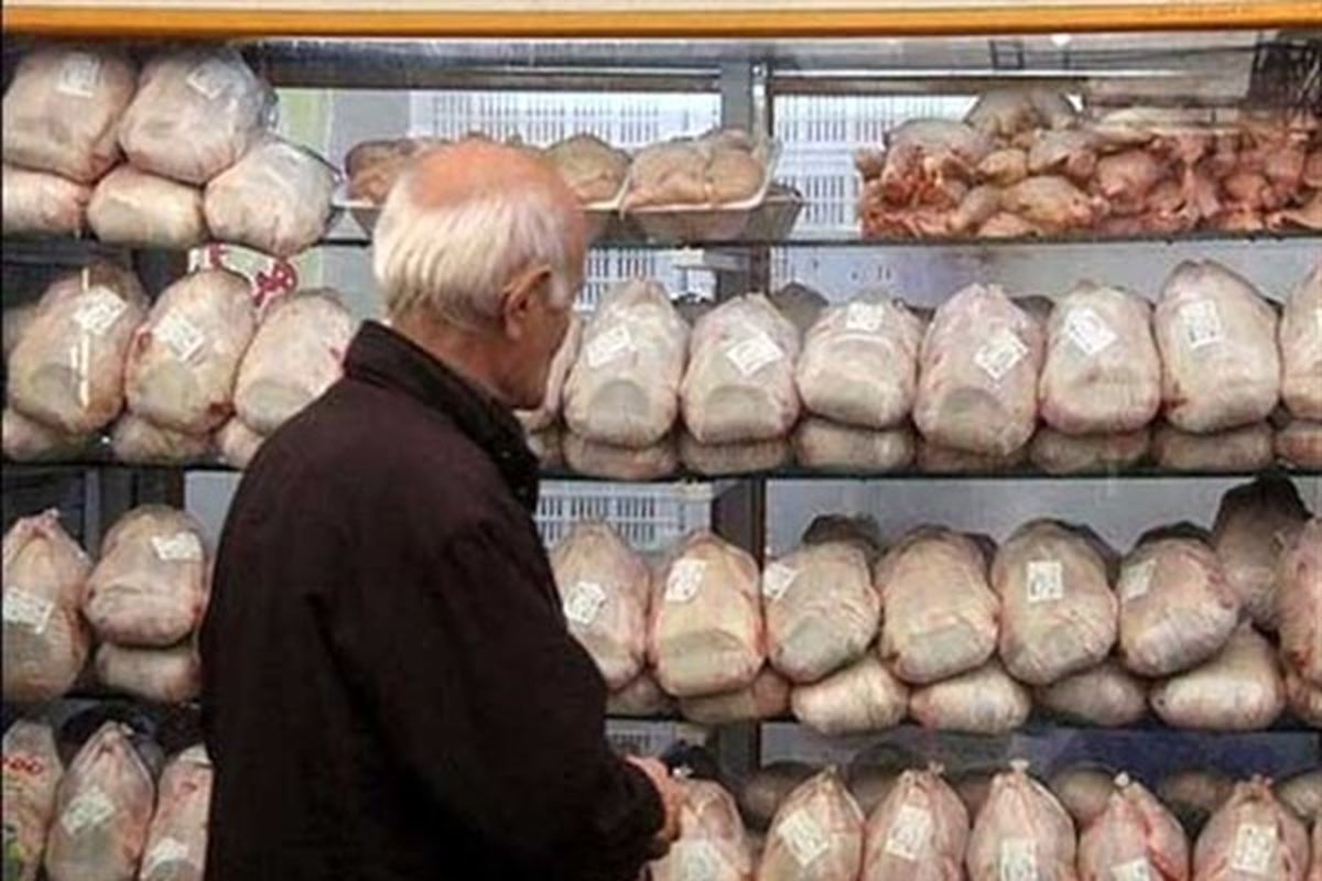 ردپای واردات انحصاری جوجههای انگلیسی در نوسانات قیمت مرغ