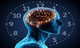 ساعت بدنتان را با درک چند نکته حیاتی دریابید