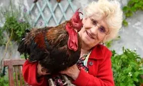 مشهورترین خروس فرانسه تلف شد