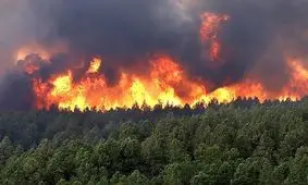 تبعات آتش‌سوزی نقطه‌ای در جنگل‌ها و مراتع