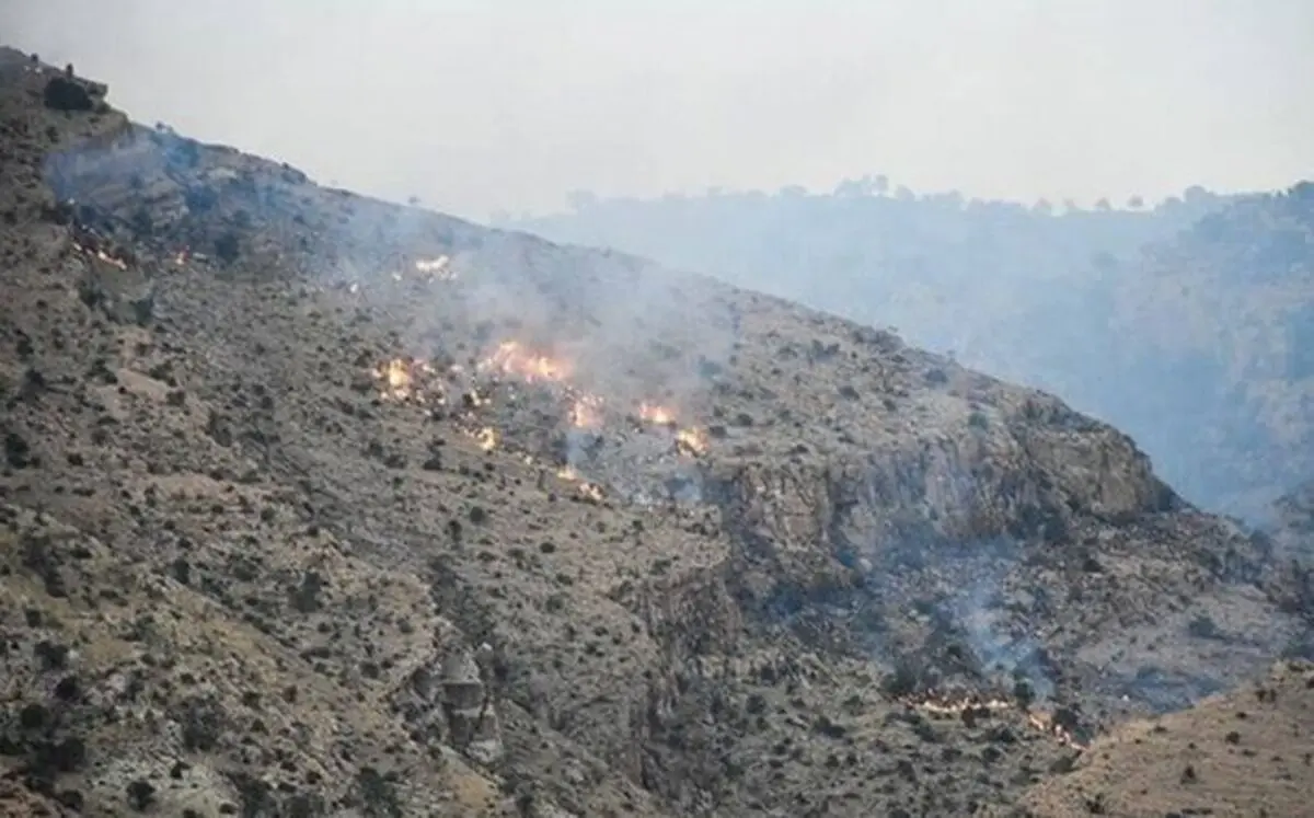 مهار آتش سوزی در منطقه چاه فعله غربی شهرستان بندرعباس