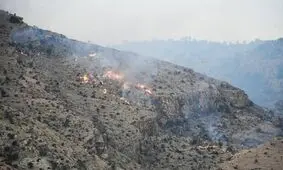 مهار آتش سوزی در منطقه چاه فعله غربی شهرستان بندرعباس