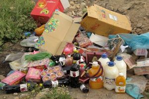 ۱۳۶ کیلوگرم مواد غذایی فاسد در دهلران معدوم شد