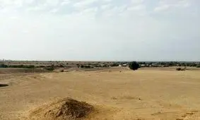 ۹۰۰ هکتار اراضی ملی در استان بوشهر رفع تصرف شد