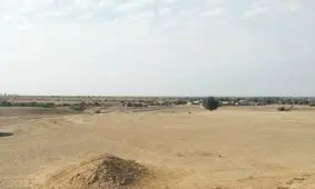 ۹۰۰ هکتار اراضی ملی در استان بوشهر رفع تصرف شد
