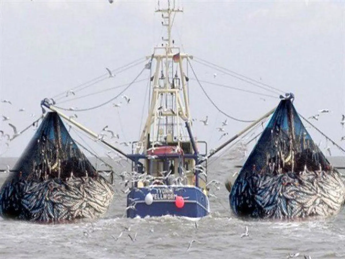 توقیف 19 شناور در خلیج‌فارس/ برخورد جدی با صید ترال