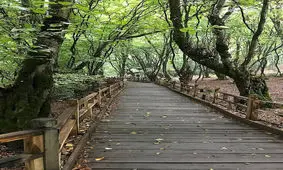 تفرجگاه‌های گرگان تعطیل می‌شود