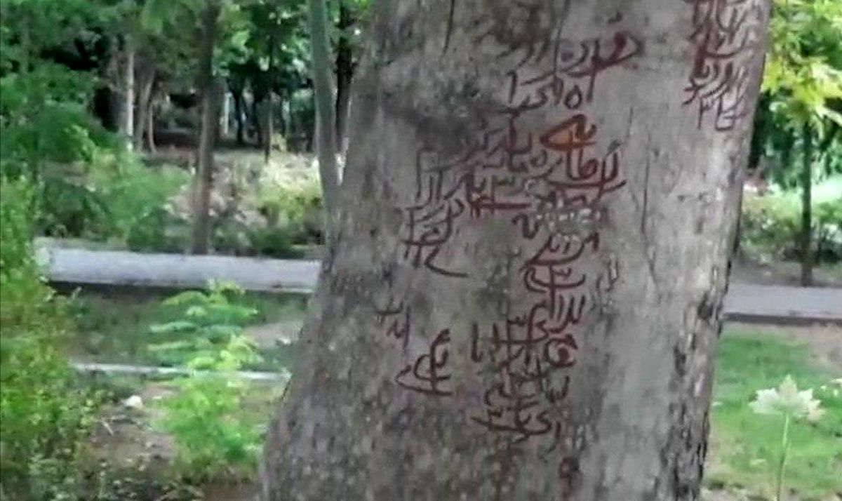 ماجرای نوشته‌های طلسم مانند روی درختان پارک لاله چیست؟
