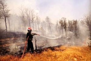 اعزام آتش‌نشانان تبریز برای اطفای آتش‌سوزی جنگل‌های ارسباران