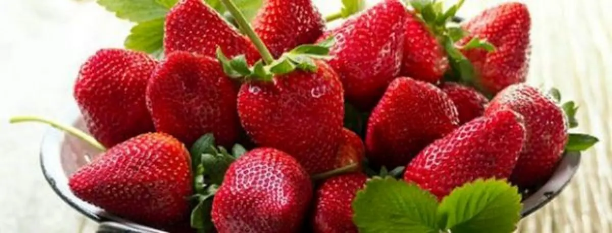 با این غذاها جلوی پیری پوست را بگیرید