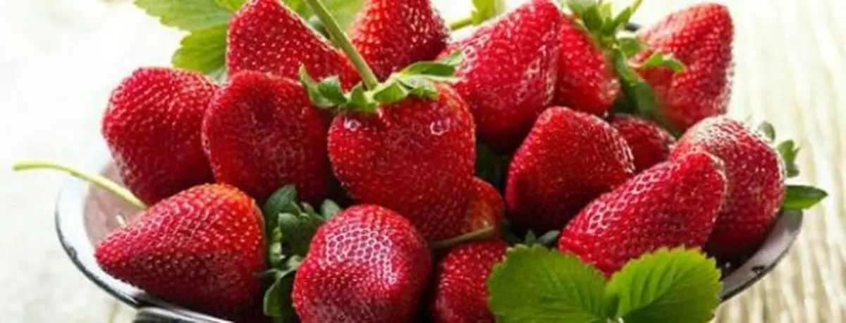 با این غذاها جلوی پیری پوست را بگیرید