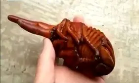 فیلم / بزرگترین حشره جهان!