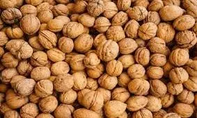 کشف بیش از یک تن گردوی قاچاق در بناب