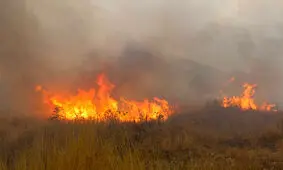 آتش بلای جان مراتع روستای قره‌آغاج شد