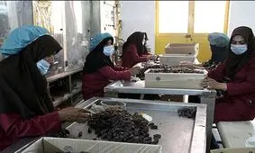 شرایط بازنشستگی زنانی که شغل خود را از دست داده‌اند، فراهم شد