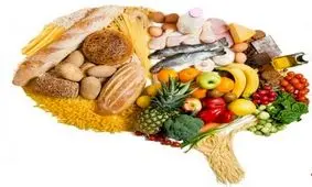 ۷ خوراکی ویژه برای تقویت مغز