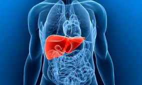 ۵ توصیه برای داشتن کبدی سالم