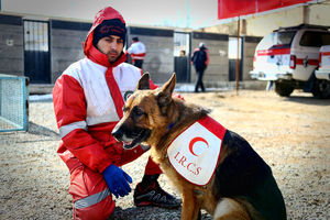 اعزام سگ‌های زنده‌یاب برای یافتن دختر گمشده در کردکوی / فیلم