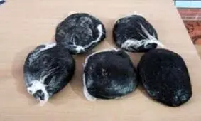 جاساز ۵ کیلو تریاک در شانه های زن میان‌سال دامغانی