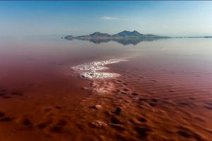چرا آب دریاچه ارومیه قرمز شده است؟