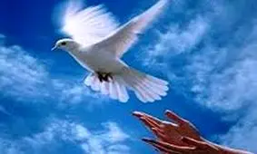 بخشش 3 محکوم به اعدام در لردگان چهارمحال و بختیاری