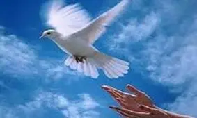 بخشش 3 محکوم به اعدام در لردگان چهارمحال و بختیاری