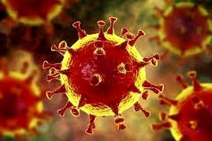 وضعیت شیوع ویروس کرونا در ۵ شهرستان کهگیلویه و بویراحمد نارنجی شد