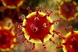 وضعیت شیوع ویروس کرونا در ۵ شهرستان کهگیلویه و بویراحمد نارنجی شد