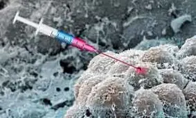 داروی فشارخون درمانی برای سرطان