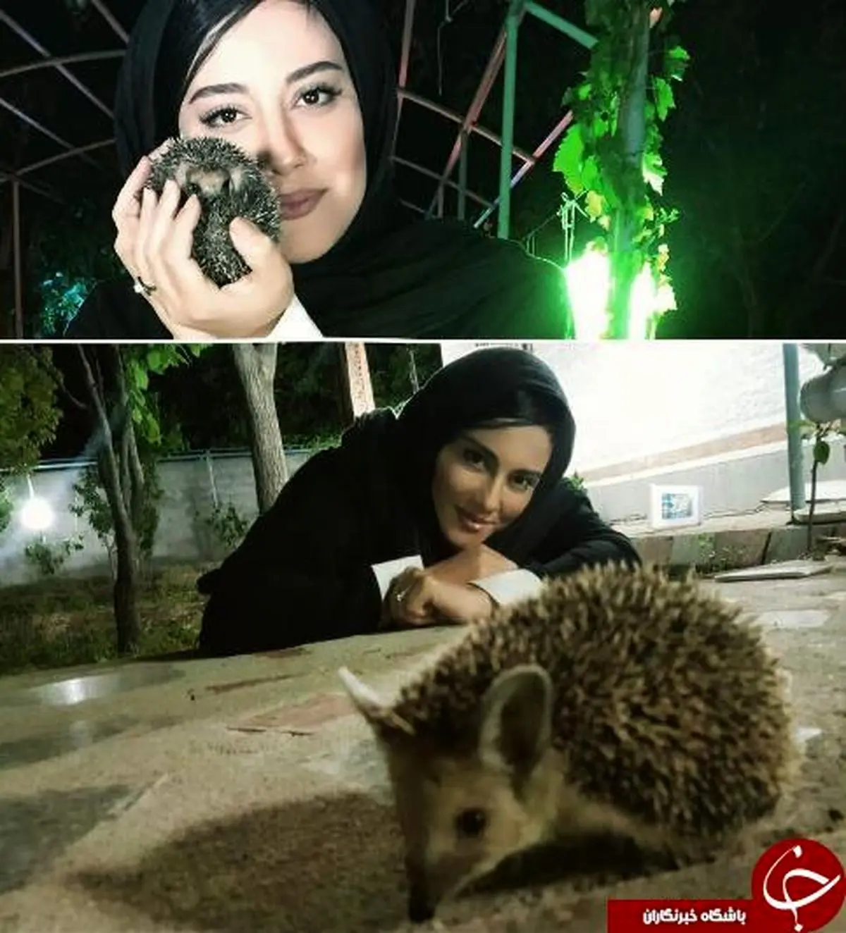 آشا محرابی و حیوان خانگی عجیب اش! +عکس