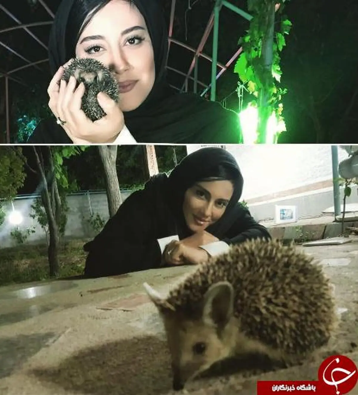 آشا محرابی و حیوان خانگی عجیب اش! +عکس